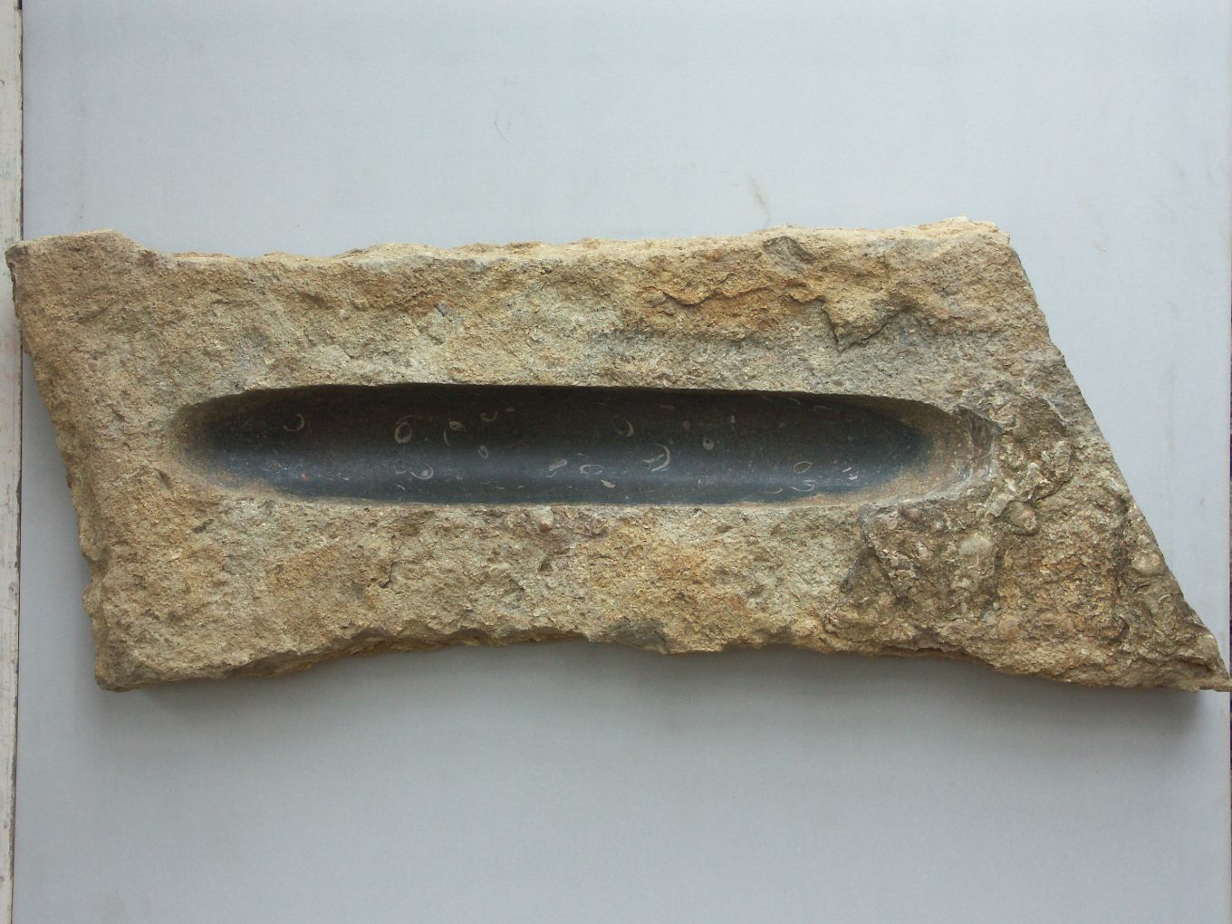 'Gyllyngvase' by William Peers